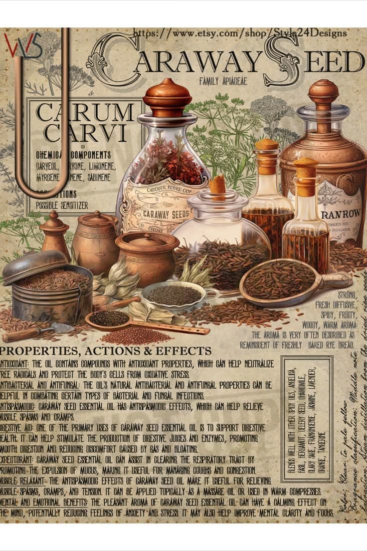Vintage illustration of Caraway bottles