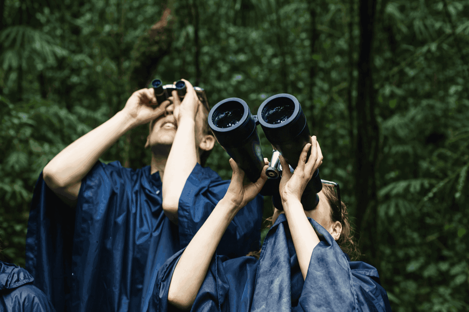 Close-up of blue-green microscopic cellular structures