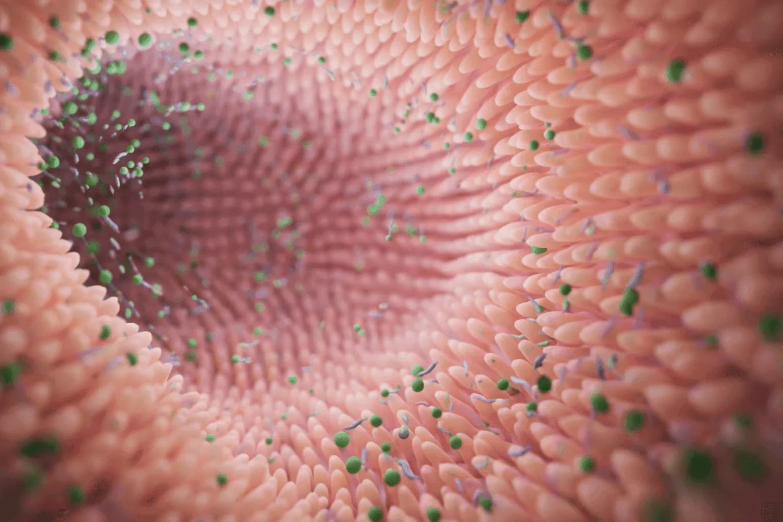 Targeted Intestinal Release