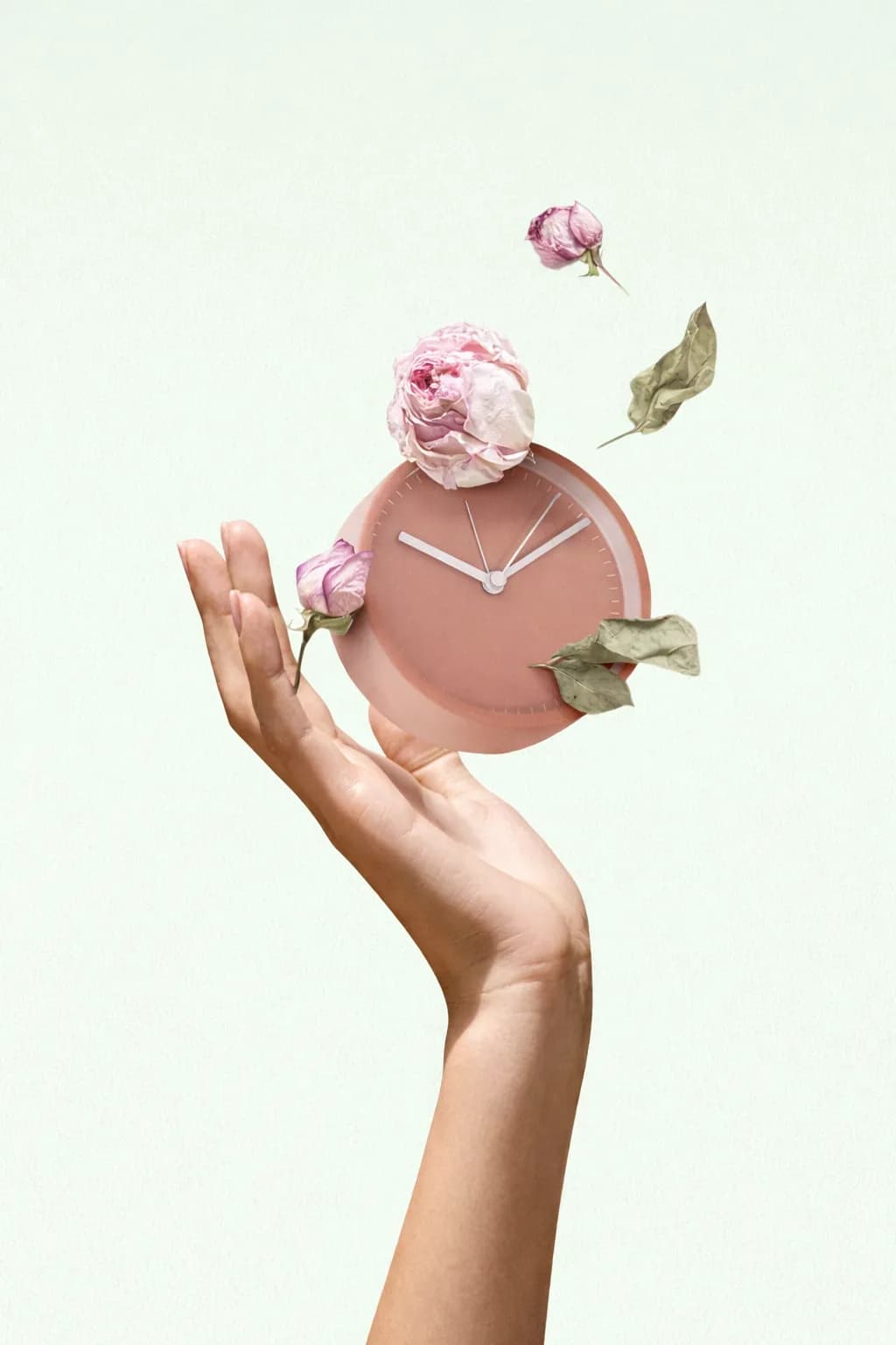 Long-Term Digestive Comfort